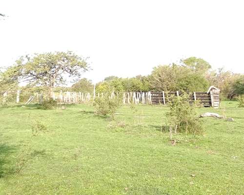 Vendo Campo Ganadero en E.rios