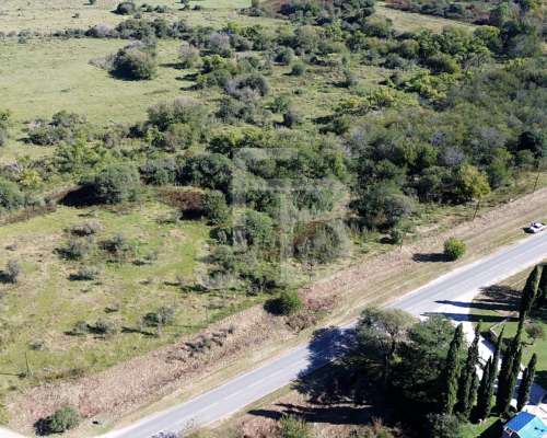 Lote de 2 Hectáreas con Arroyo Zona los Molinos, Sobre Ruta