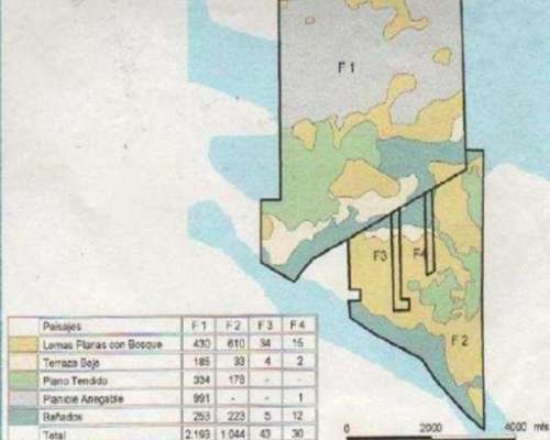 Campo 4168ha Mixto - San Luis del Palmar Corrientes