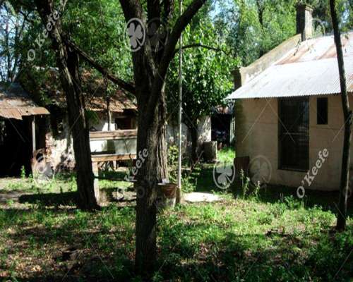 Campo en Venta de 84 Hectareas, la Plata, Ganadero.