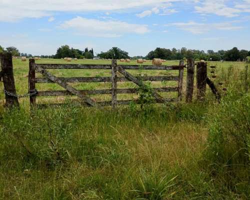 Venta de Campo en Brandsen
