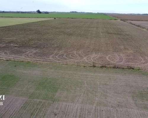 19 Ha - el Trebol - Santa FE