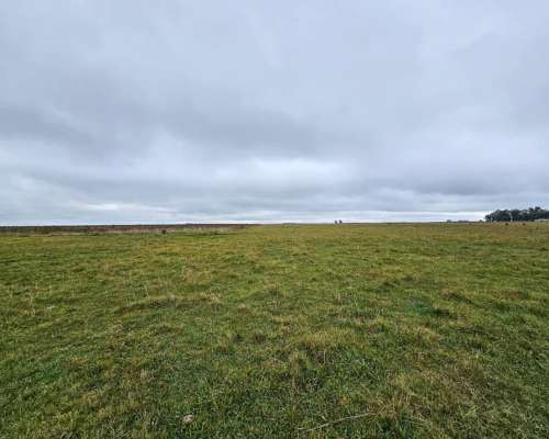 Campo Venta las Flores 180 Ha Ganadero