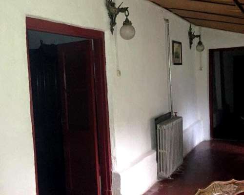 600 Has. Mixtas las Flores