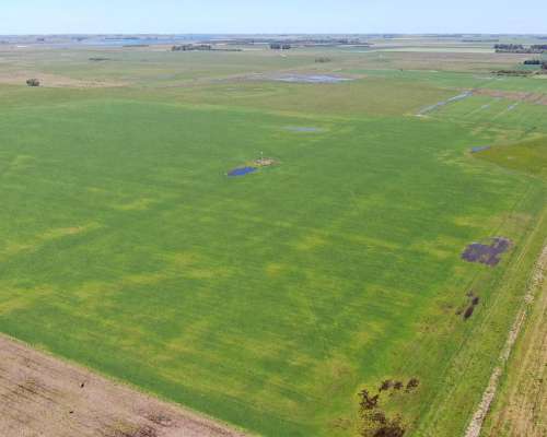 163 Has en Chascomús, Buenos Aires - Mixto - Venta