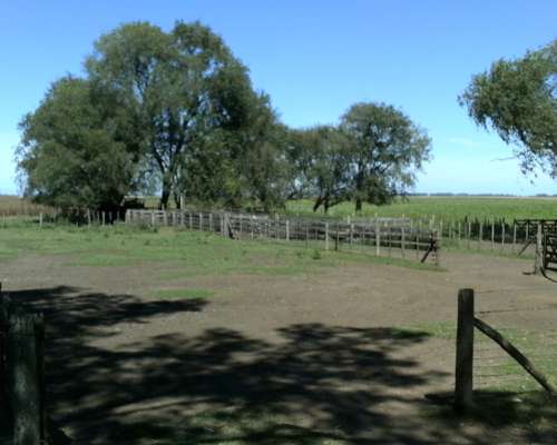 Campo Mixto Roque Perez