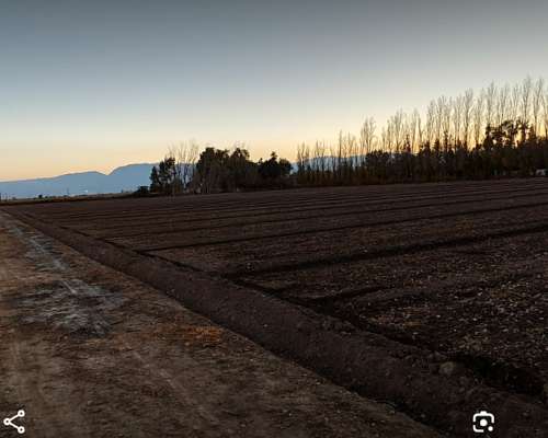 Finca Lista para Trabajr