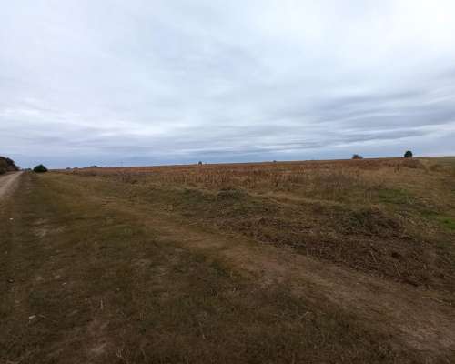 Campo Agrícola de 18 Hectáreas en Pavón (santa FE)