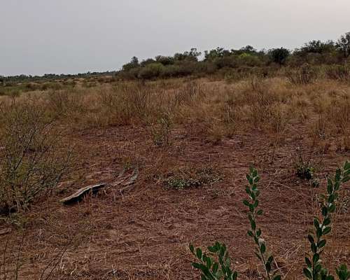 Campo en Venta Santiago del Estero
