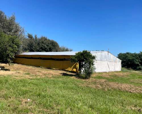Venta Granja de Pollos Habilitada en San Pedro Funcionando.