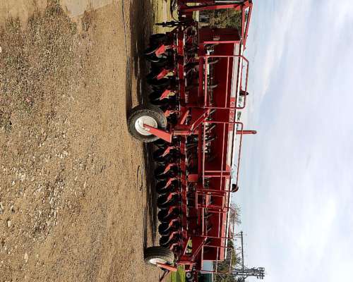 14 a 52, Fertilización Simple, Gringa IV