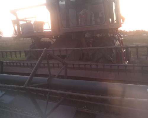 Vendo Vasalli 3 16 Rodafo 23 1 26