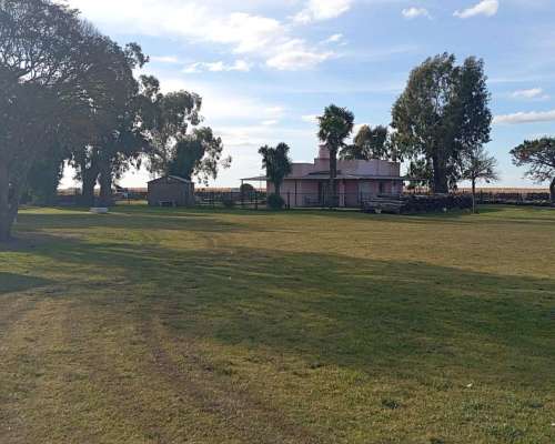 Campo de 177 Hectareas de Aptitud Mixto Ubicado en Ayacucho