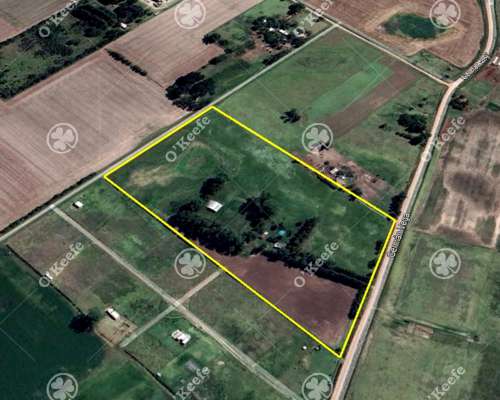 Chacra en Venta de 10 Has en Bragado con Mejoras