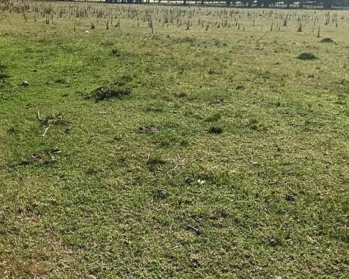 1.700 Hectáreas Ganaderas con Destacada Infraestructura