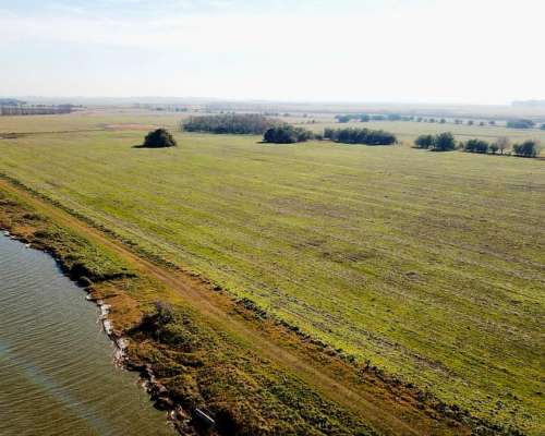 Estancia de 900 Has. con Laguna Propia en Chascomús