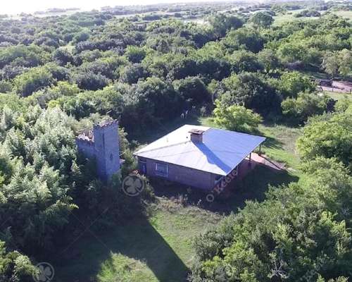 Campo en Venta 613 Has Agrícolas en Venta en Magdalena