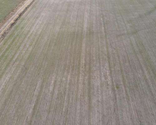 Campo Agrícola en Rocamora de 59 Hectáreas.