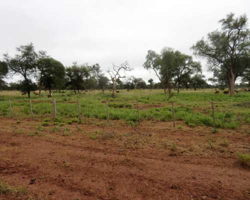 La Estrella - 2755 Ha - Salta