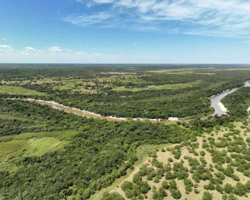 Pcia. de Corrientes - Sauce 1076 Ha