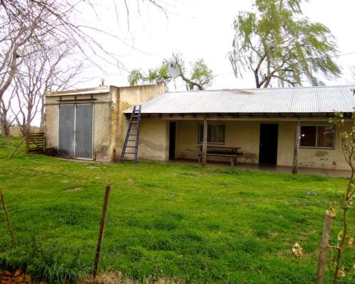 Alquiler 500 Ha de Cria Sobre la Ruta 11 Castelli