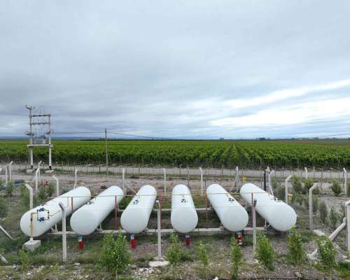 Pcia. de Mendoza - Tunuyan 123 Ha