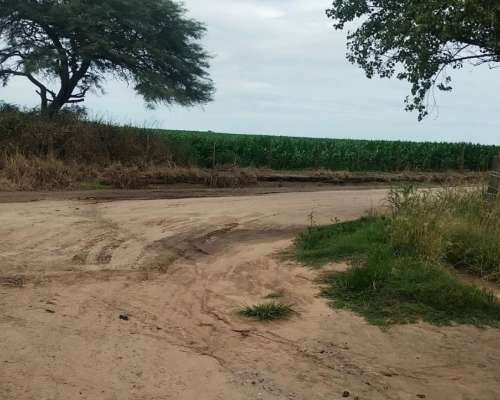 Campo Agrícola Ganader Turismo