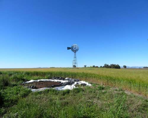 Dorbigny - 80 Ha - Buenos Aires