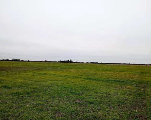 Campo 54ha - Providencia