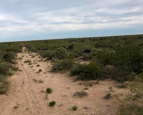 Campo 9626 Ha la Pampa Zona Petrolera