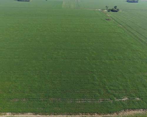 65 HA. Agrícola Optimo. Chovet (santa FE)
