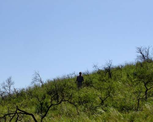 935 Hectareas en Villa Albertina