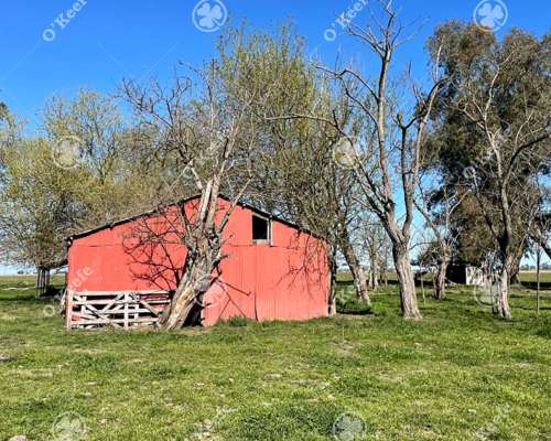 Campo en Venta de 1150 Has en Formosa. Cerca de Ruta Nac. 11