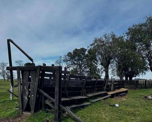 Campo en Venta Sobre Ruta 29. Ranchos