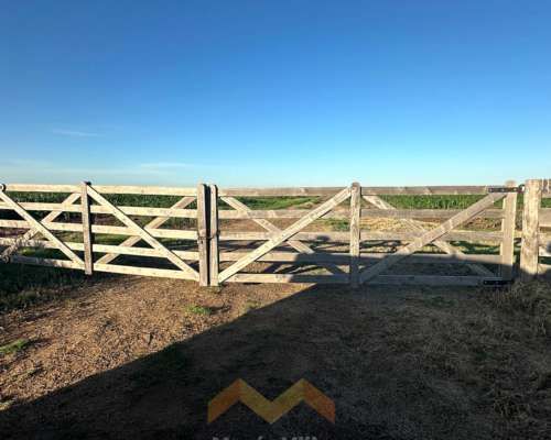 262 Ha a 12 km de González Moreno, Provincia de Buenos Aires