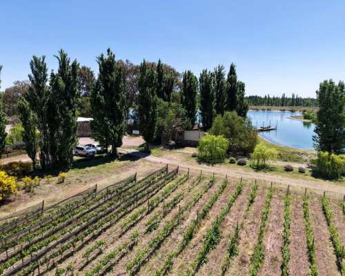 Cuadro Benegas, San Rafael, Mendoza - 97 Ha