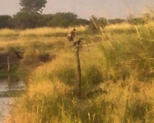 Vendo Campo Ganadero - 400 HTS - Dueño