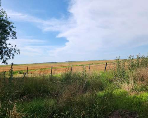 Se Alquila Campo Agricola - las Armas. Ayacucho - Ruta N°2