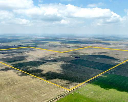 664 Has. Campo Ganadero en Gral. Villegas