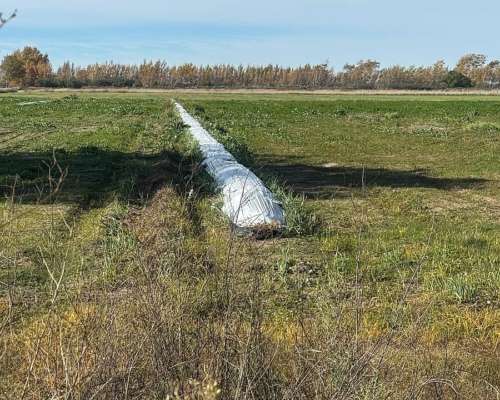 25 Hectáreas en Pedro Luro