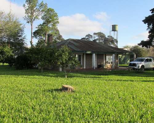 1.239 Has - en Venta - Federal - Entre Ríos