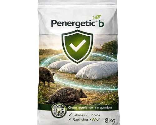 Penergetic B ZV y WV