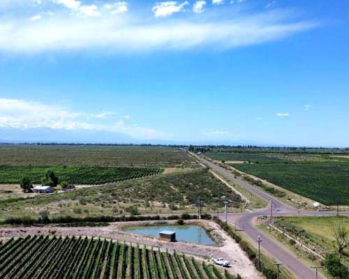 Finca con Viñedos de Alta Calidad - el Cepillo , Mendoza