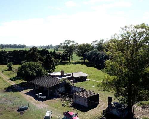 44 Has. Campo Agrícolo Ganadero en General Rodriguez