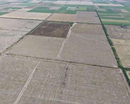 69 HA. Agricola. Villa Trinidad (santa FE)