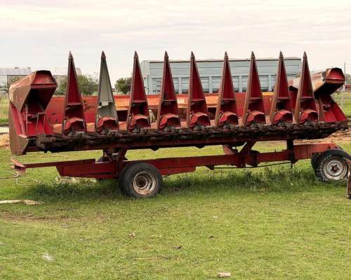 Maicero Maizco de 10 a 52