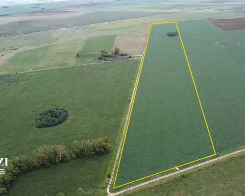 Venta 30 Has Agrícolas en Monje