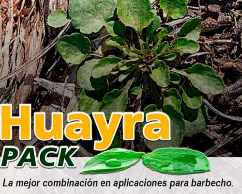 Coadyuvante Huayra Pack. para Barbecho.