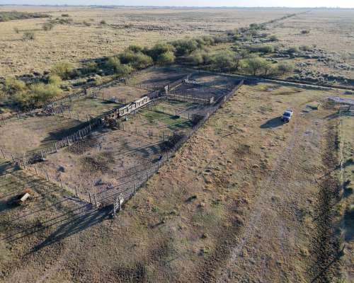 660 Has de Cría en Departamento Iriondo.