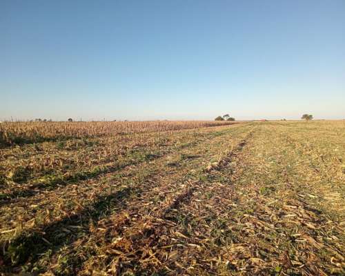450 Ha en Venta Norte de Córdoba